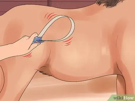 Image titled Groom a Miniature Horse for Show Step 13