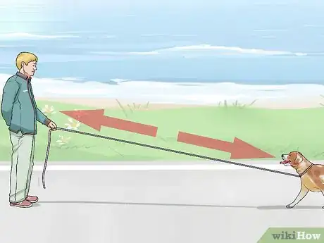 Image titled Get Your Dog to Follow You Step 8