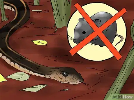 Image titled Catch a Garter Snake Step 3