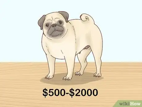 Image titled Choose a Pug Step 13