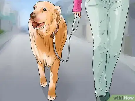 Image titled Walk Two Dogs Step 1