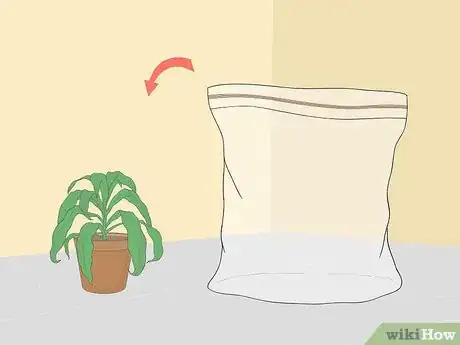 Image titled Revive a Wilted Herb Plant Step 5