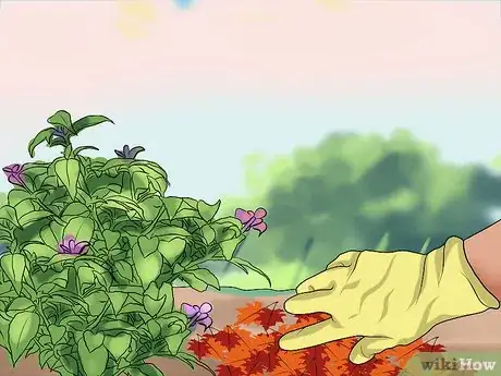 Image titled Deal with Autumn Leaves Step 12