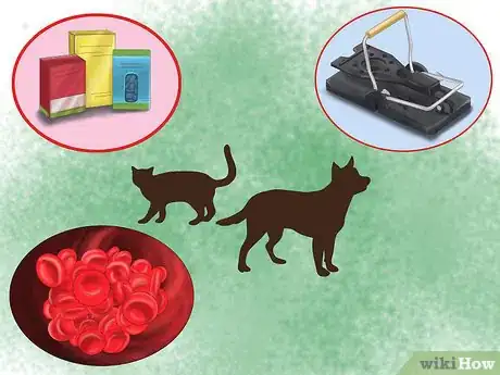 Image titled Make Your House a Better Place for Animals Step 5