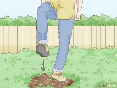 Image titled Repair a Bare Patch of Lawn Step 1