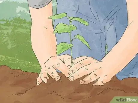 Image titled Enjoy Nature Step 12