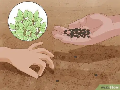 Image titled Plant a Child Friendly Garden Step 2