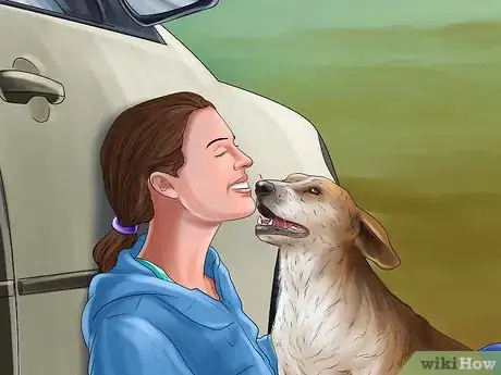 Image titled Prevent Your Dog from Becoming Carsick Step 8