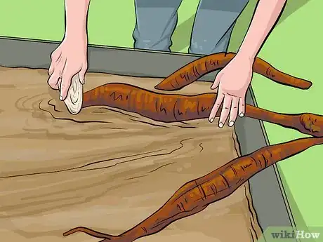 Image titled Eat Kudzu Step 7