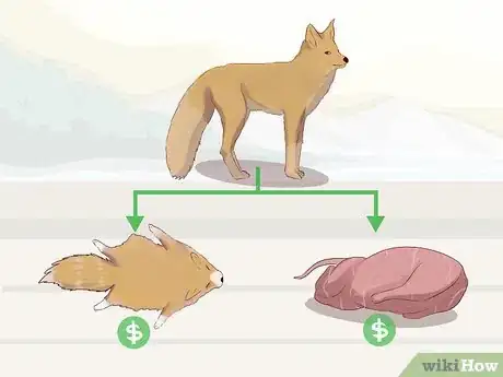 Image titled Sell Furs Step 9