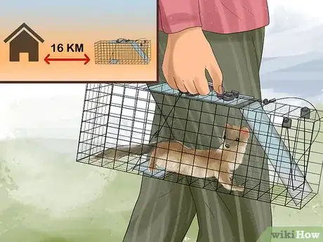 Image titled Catch Weasels Step 9