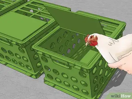 Image titled Be a Poultry Farmer Step 18