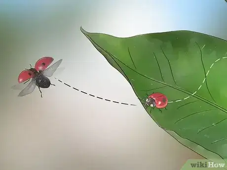 Image titled Photograph Insects Step 15