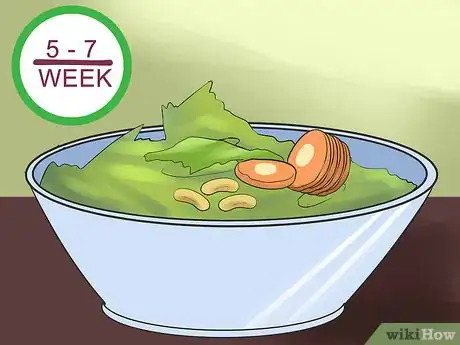 Image titled Care for Uromastyx Lizards Step 9