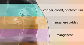 Identify Petrified Wood