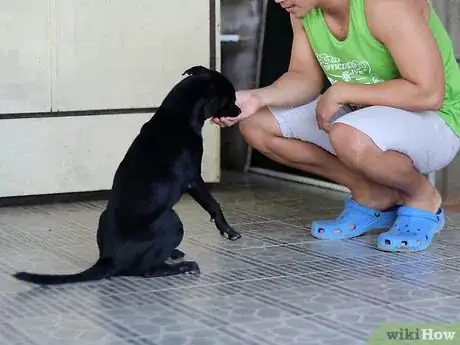 Image titled Tame Your Dog Step 9