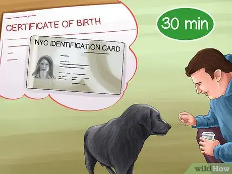 Image titled Adopt a Sporting Dog Step 5