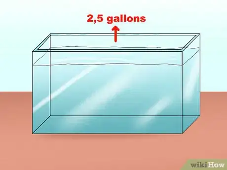 Image titled Take Care of a Siamese Fighting Fish Step 1