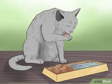 Image titled Stop a Fearful Cat from Biting Step 11
