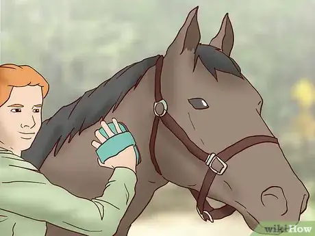 Image titled Teach a Horse to Come when Called Step 10