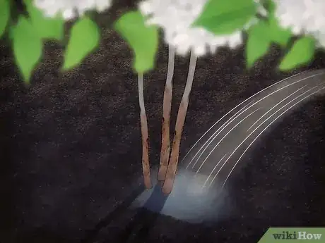 Image titled Grow Snowball Trees Step 19