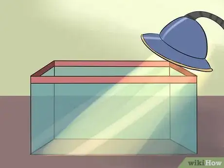 Image titled Care for Uromastyx Lizards Step 2