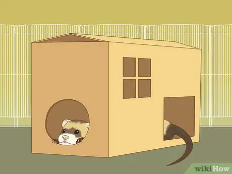 Image titled Exercise Your Ferret in a Playpen Step 4