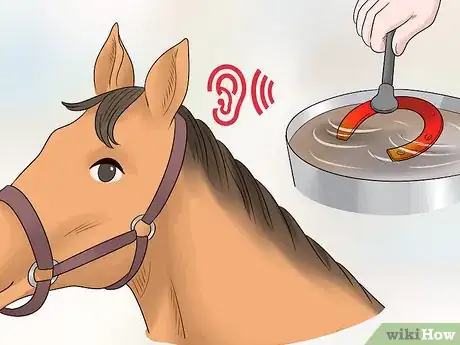 Image titled Train Your Horse for the Farrier Step 11