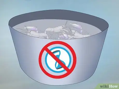 Image titled Set Up a Freshwater Crayfish Farm Step 19