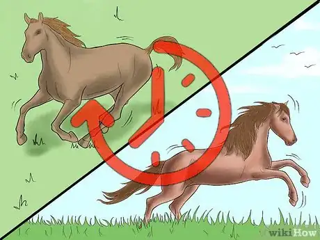 Image titled Prevent a Horse From Colicking Step 14