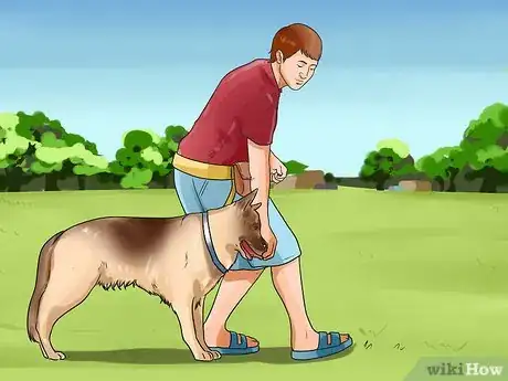 Image titled Walk Two Dogs Step 5