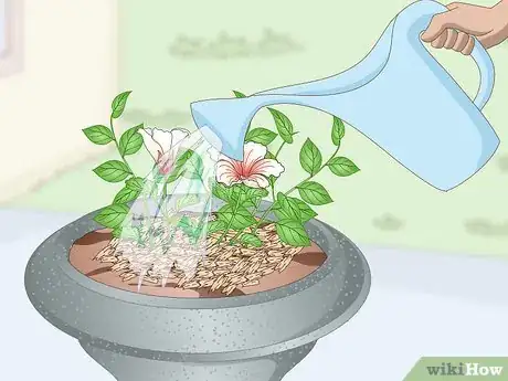 Image titled Plant in Urns Step 9