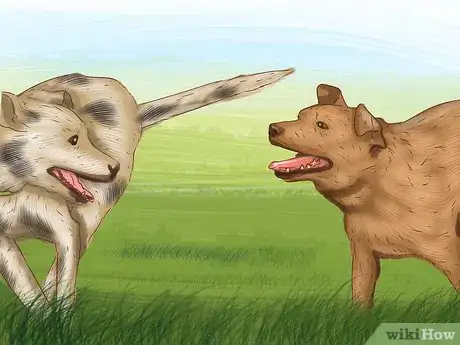 Image titled Decide Whether to Get a Second Dog Step 8