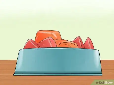 Image titled Care for Puggles Step 7