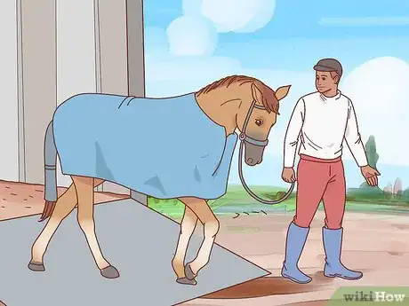 Image titled Transport a Horse Step 12