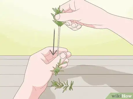 Image titled Harvest Tarragon Step 3