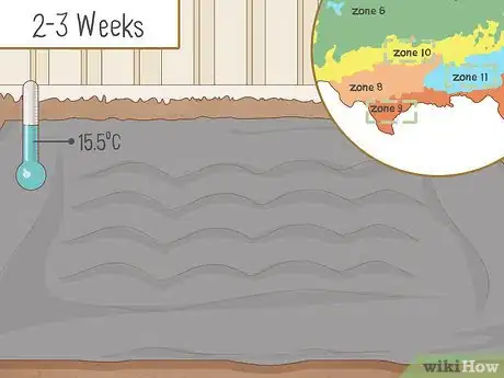 Image titled Plant Uala Step 3