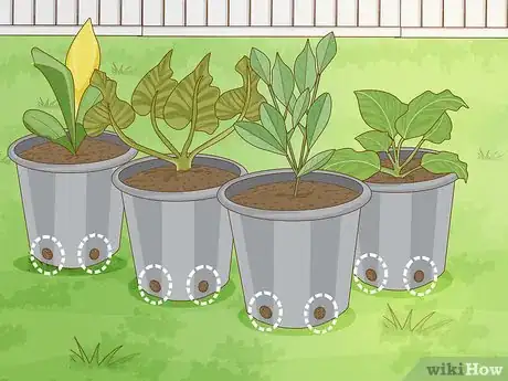 Image titled Grow an Edible Pond Step 6