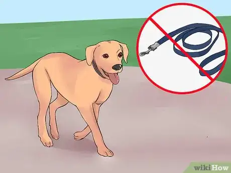 Image titled Find Low Cost Dog Training Step 3