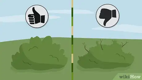 Image titled Protect Plants from Animals Step 10