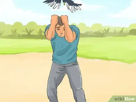 Image titled Keep Safe from Swooping Australian Magpies Step 16