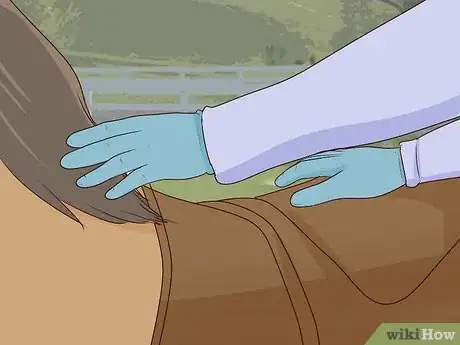 Image titled Get Your Horse to Stand Still for Mounting Step 3