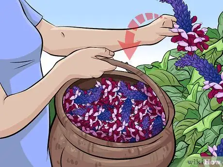 Image titled Eat Kudzu Step 3