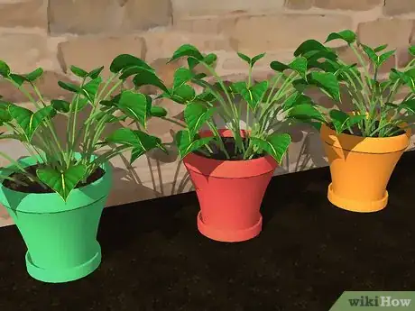 Image titled Design an Exotic Garden Step 14