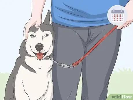 Image titled Keep Dogs Off of a Pool Cover Step 6