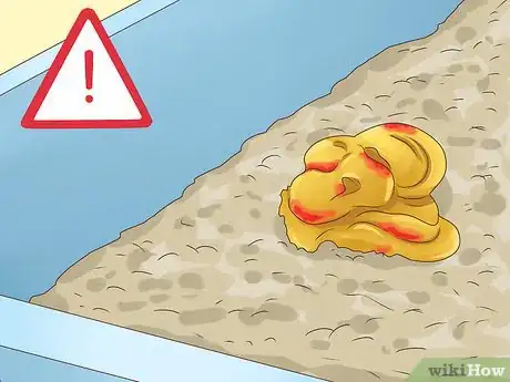 Image titled Diagnose and Treat Histoplasmosis in Cats Step 7