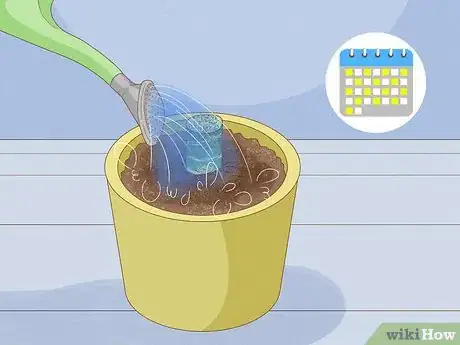 Image titled Propagate from Cane Cuttings Step 7