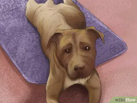 Image titled Train Your Dog to Place Step 4