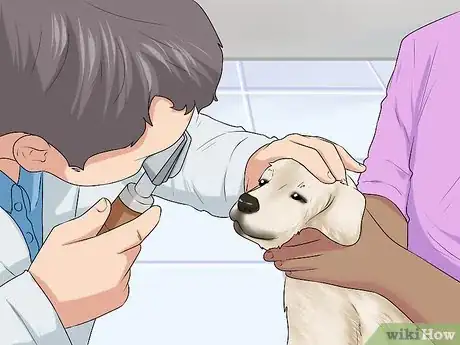 Image titled Check the Health of a New Dog Step 1