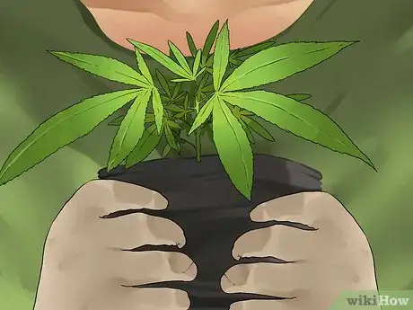 Image titled Put up a Medical Marijuana Dispensary Step 4